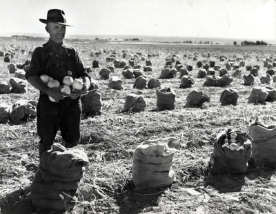 Robert E. Higgins Photograph Collection <br /><br />