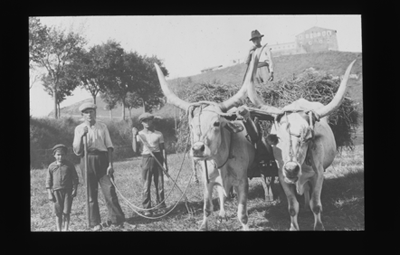 Lantern Slides of Edward John Iddings<br /><br />