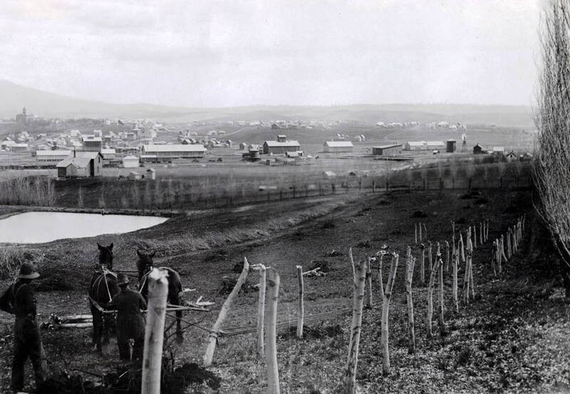 Lake was in front of Ridenbaught Hall which was built to the right.