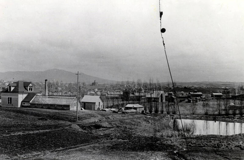 Panoramic view from campus of Moscow, Idaho.