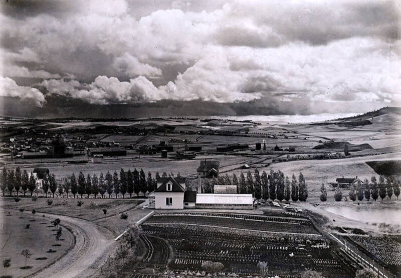 Panoramic view from campus of Moscow, Idaho.