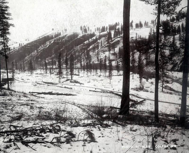 Panoramic view of Peck, Idaho.