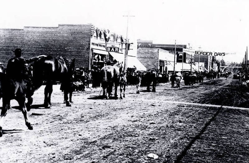 Horses being led down the street at Border Days. Grangeville, Idaho.