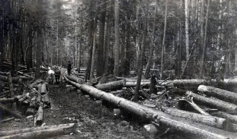 Part of a two mile log chute