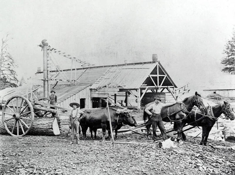 Erickson's Mill. Reubens, Idaho.
