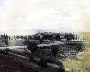 Horticulture and agronomy experimental plots in foreground