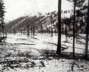 Panoramic view of Peck, Idaho.
