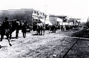 Horses being led down the street at Border Days. Grangeville, Idaho.