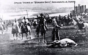 Photo was published as a postcard by W.H. Badgers