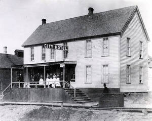 Owned by Carter family. Right to left: William Carter, Mrs. William Carter, 2 not identified, Nettie Young, Viola Carter, George Carter, others not identified