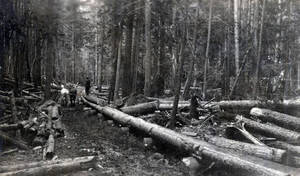 Part of a two mile log chute