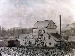 Idaho Bean Co. and elevator. Troy, Idaho.