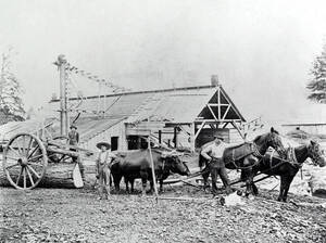 Erickson's Mill. Reubens, Idaho.