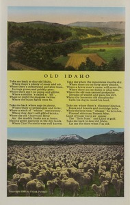 Postcard is part of a postcard packet. Image is of sheep grazing and fields with accompanying verses.