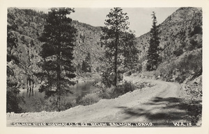 Postcard of the Salmon River Highway below Salmon, Idaho.