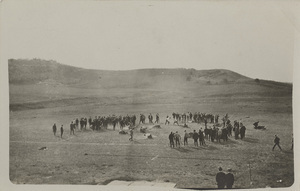 Postcard of a crowd at a freshman-sophomore fight on the University of Idaho campus in Moscow, Idaho.