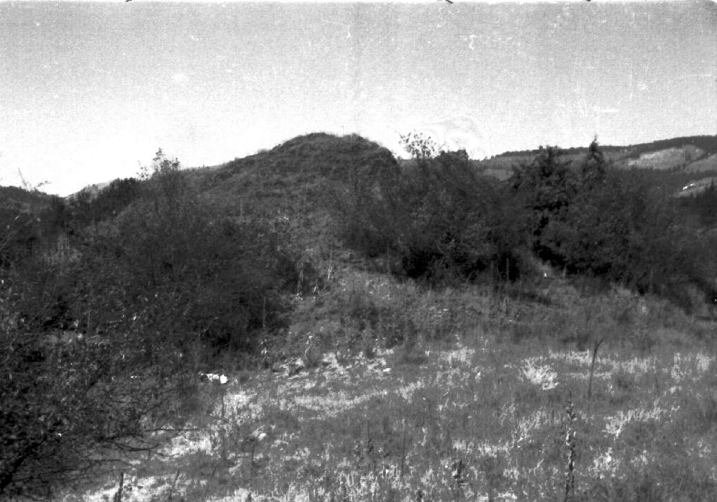 Heart of the Monster