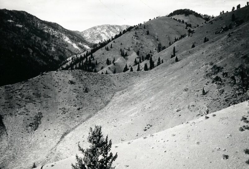 item thumbnail for Winter Range on Cabin Creek