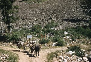 Don Wilson at the Idaho Primitive Area/Smith Creek trailhead