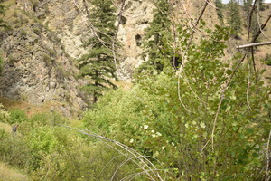Cave at mouth of Cave Creek