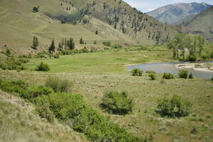 Looking east at Big Creek and Cabin Creek meadows