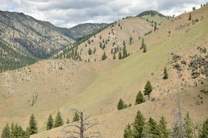 Cabin Creek looking north