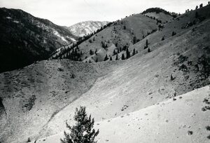 Winter Range on Cabin Creek