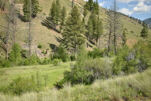 Mouth of Spring Creek, Cabin Creek