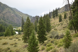 View of the Vines Airstrip area