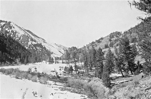 View of the Vines Airstrip area