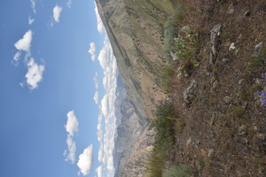 Looking east from the Rush Point Lookout trail