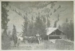 The Lewis Cabin at Taylor Wilderness Research Station on Big Creek