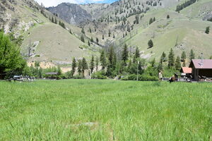 View of the Cliff Creek drainage north of Big Creek, from Taylor Wilderness Research Station