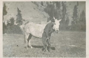 Man with mule, Cliff Creek drainage to the north, Dave Lewis property