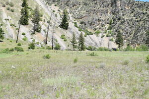 Lower hayfield on the Taylor Wilderness Research Station property