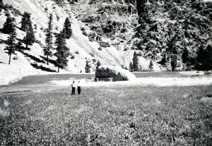 Lower hayfield at the Jess Taylor Ranch on Big Creek