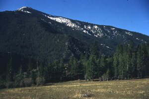 View of Goat Basin, looking south across Big Creek