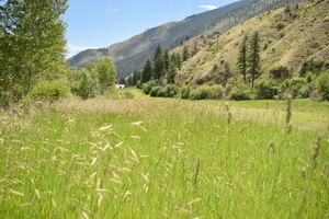 View from the western end of the Taylor Wilderness Research Station airstrip