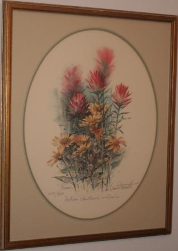 item thumbnail for Indian paintbrush and arnica(wildflower series)