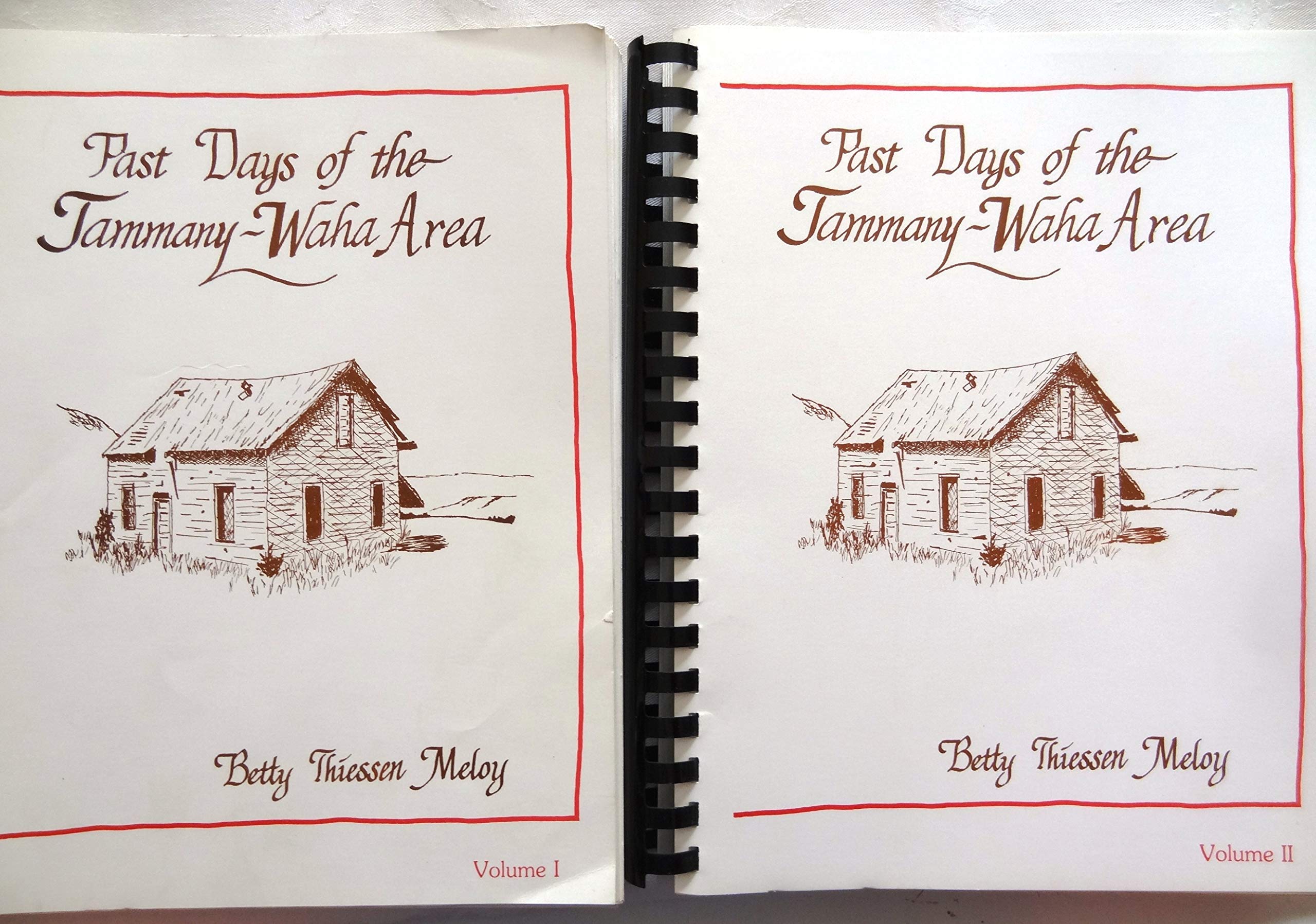 Past days of the Tammany-Waha area (book cover)