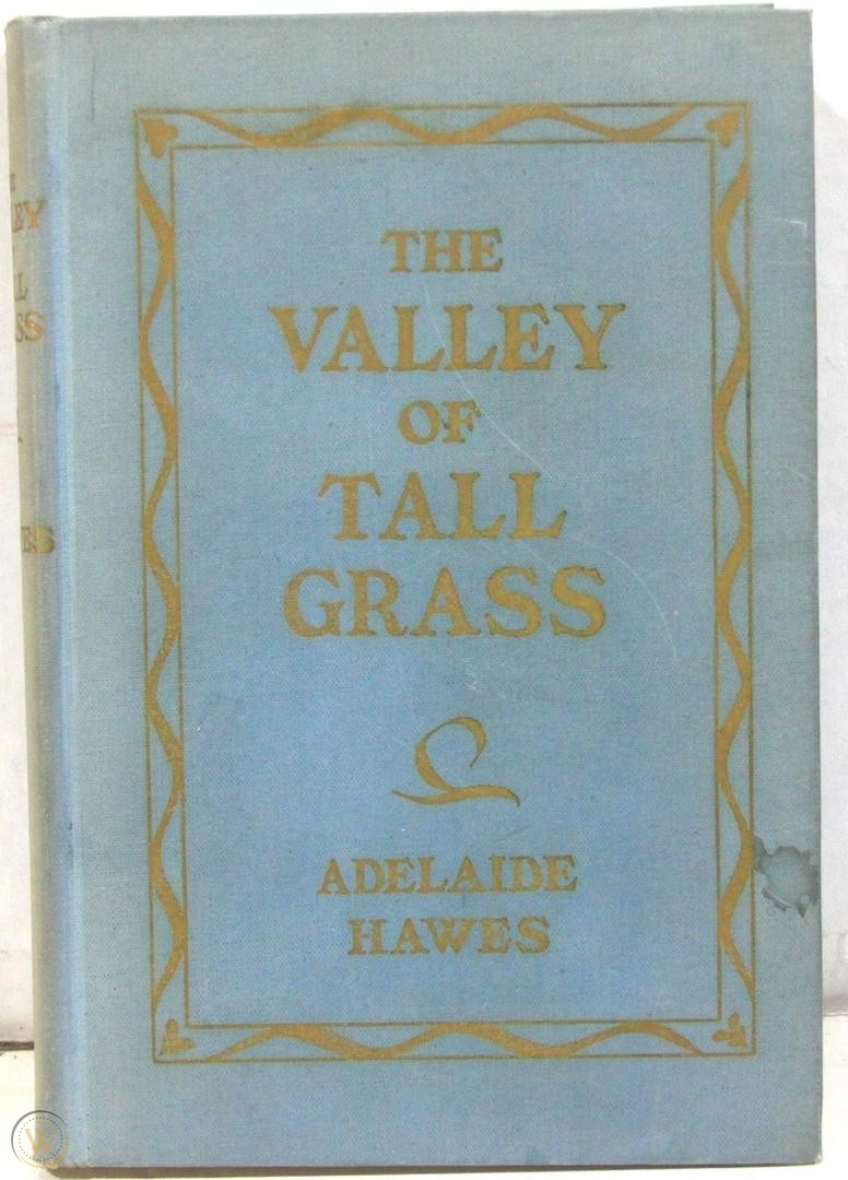 The valley of tall grass (book cover)