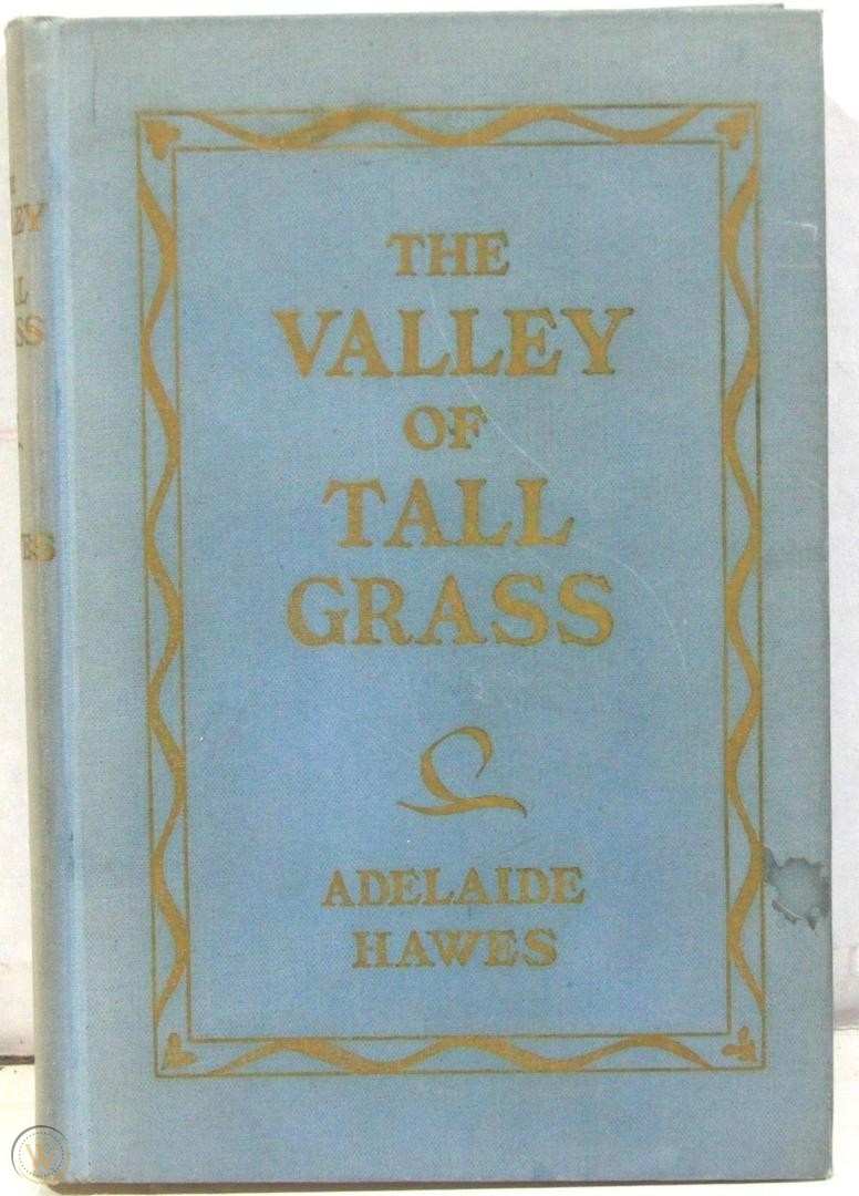 The valley of tall grass (book cover)