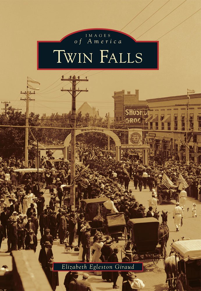 Twin Falls (book cover)