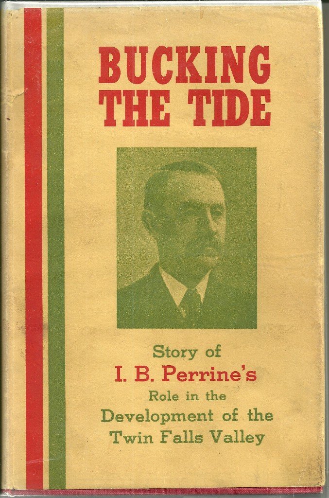 Bucking the tide (book cover)