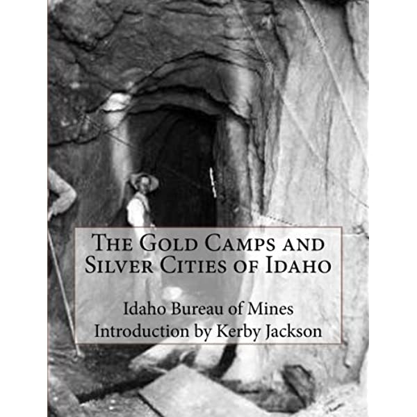 Gold camps & silver cities: Wherein is told the story of the rush of 1863 into the Boise basin and the Owyhee country and of what followed; how the gold-seekers and rainbow-runners transformed a hostile wilderness into Idaho Territory and, later, into the State of Idaho (book cover)