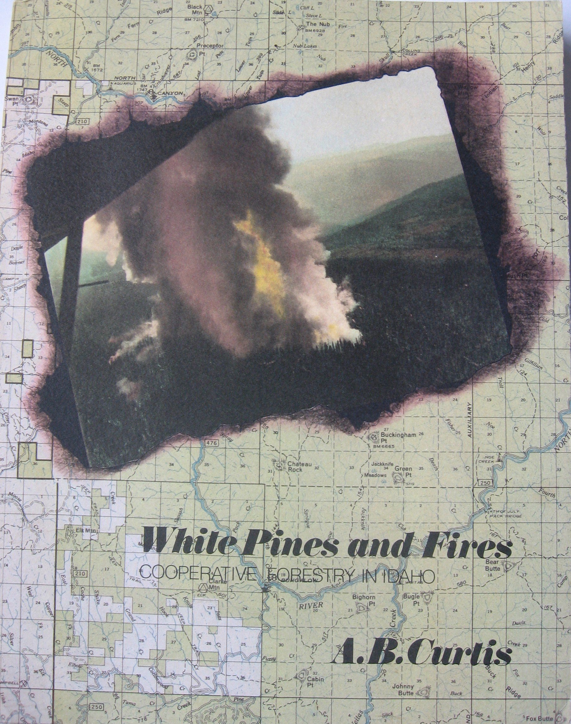 White pines and fires: Cooperative forestry in Idaho (book cover)