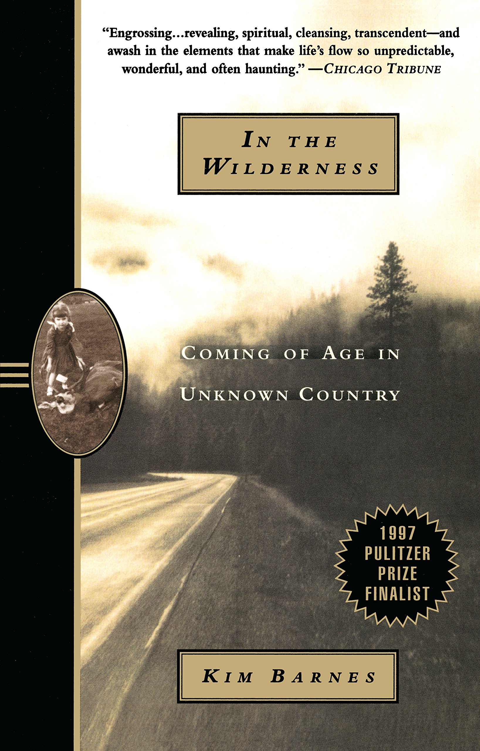 In the wilderness: Coming of age in unknown country (book cover)