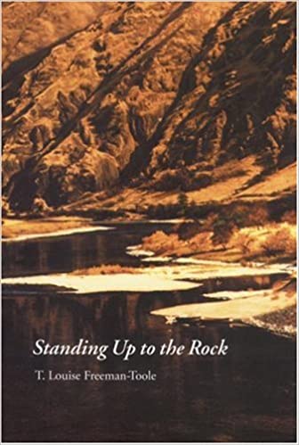 Standing up to the rock (book cover)