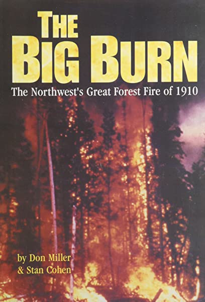 The big burn: The Northwest's forest fire of 1910 (book cover)
