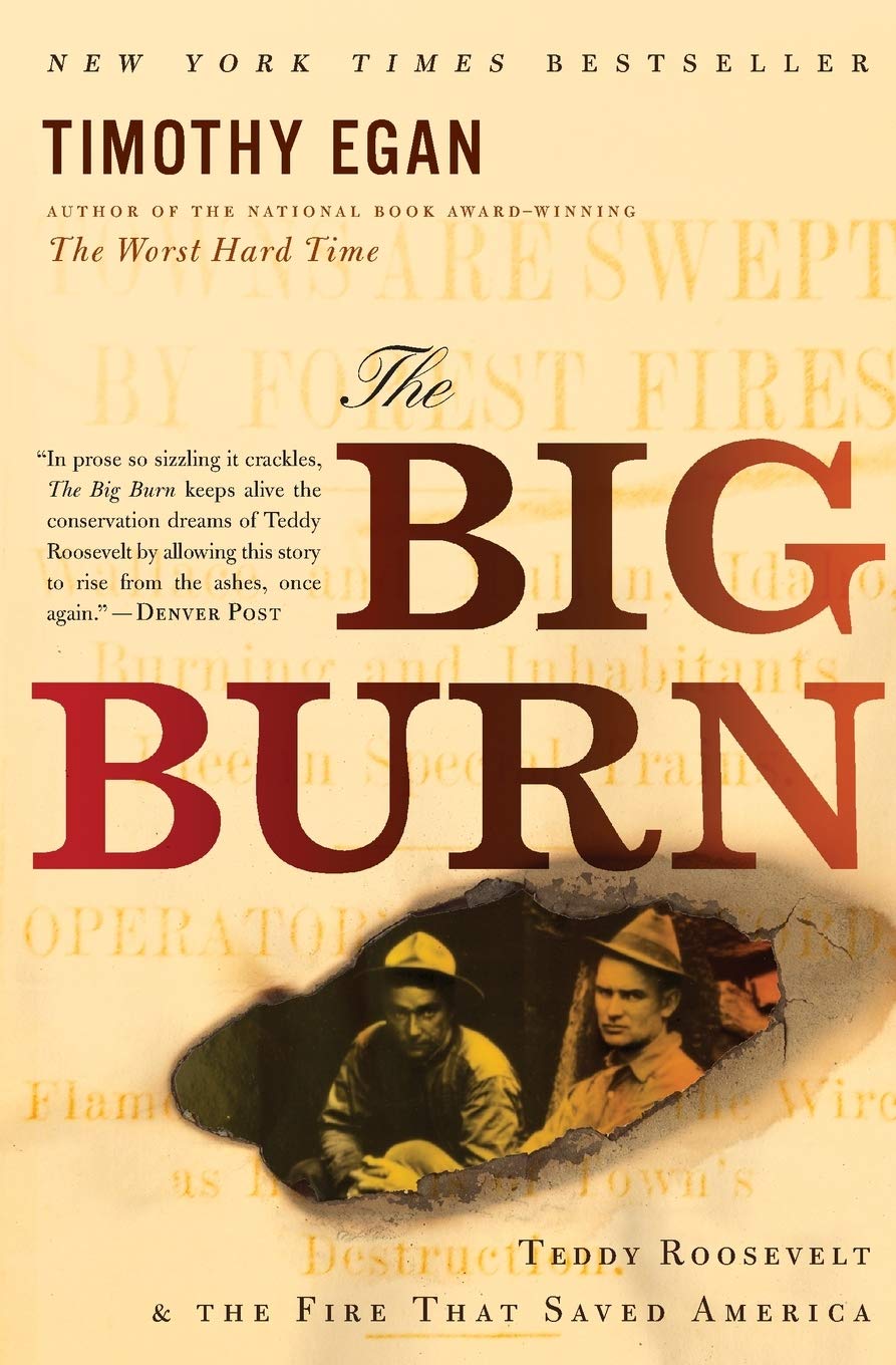 The big burn: Teddy Roosevelt and the fire that saved America (book cover)